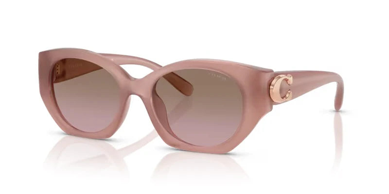 Coach HC8407U CW194 583914 Sunglasses – Cat eye