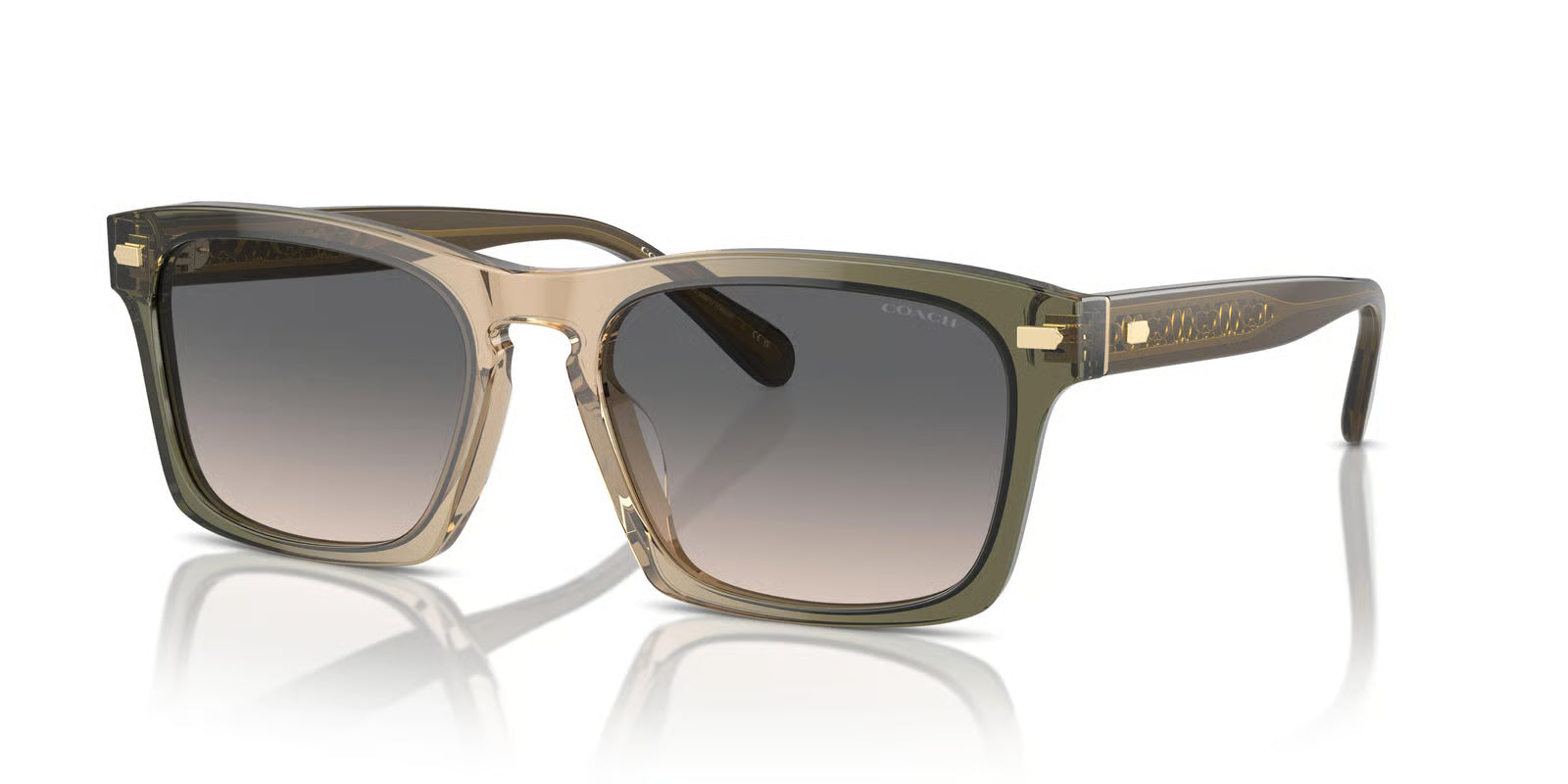 Coach HC8397U 581587 Sunglasses – Rectangle