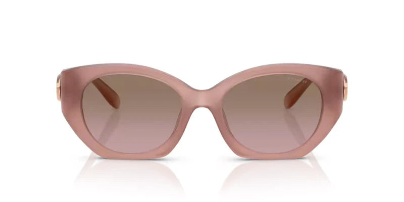Coach HC8407U CW194 583914 Sunglasses – Cat eye