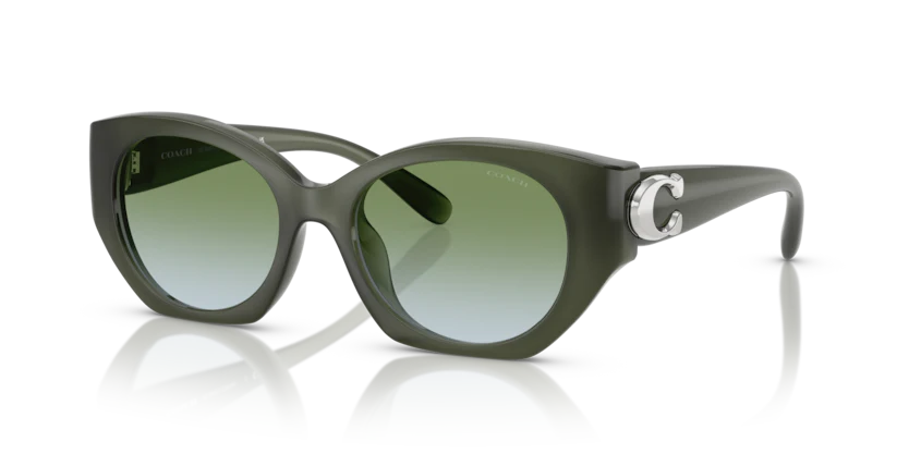 Coach HC8407U CW194 Sunglasses – Cat Eye
