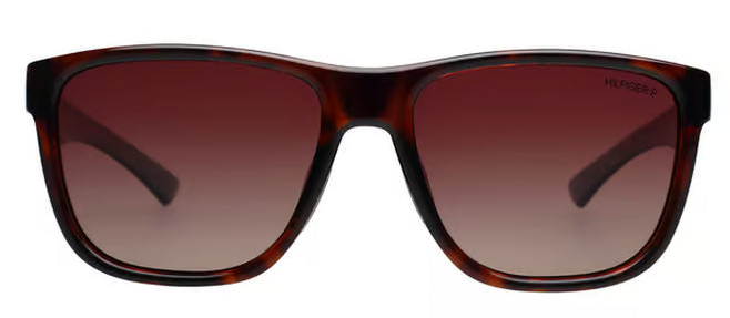 Tommy Hilfiger TH1581PL Sunglasses – Wayfarer