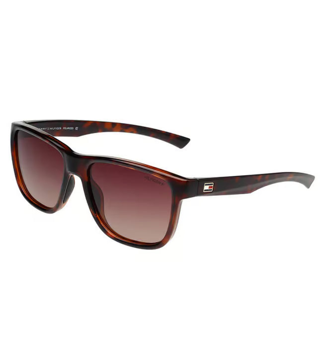 Tommy Hilfiger TH1581PL Sunglasses – Wayfarer