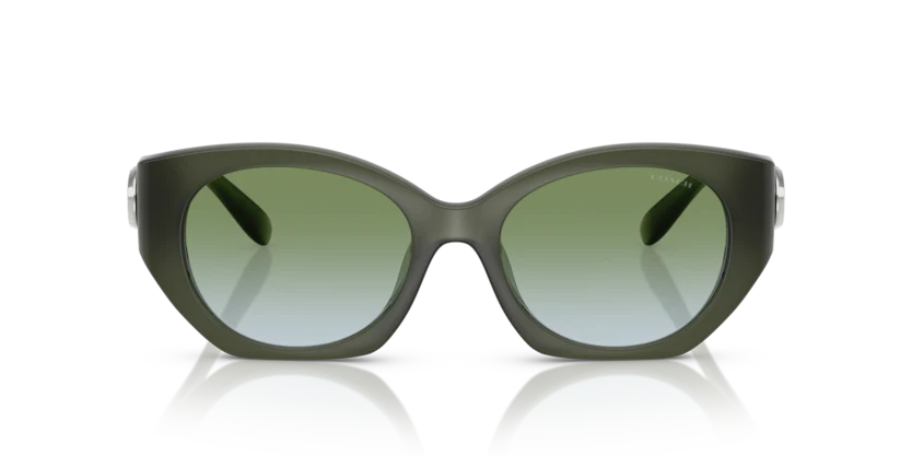Coach HC8407U CW194 Sunglasses – Cat Eye